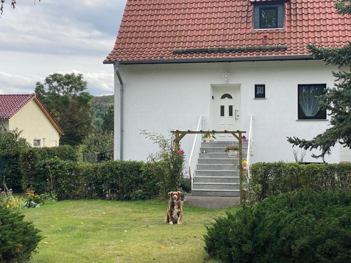 Ferienhaus Am Muehlgraben Thale Eksteriør bilde