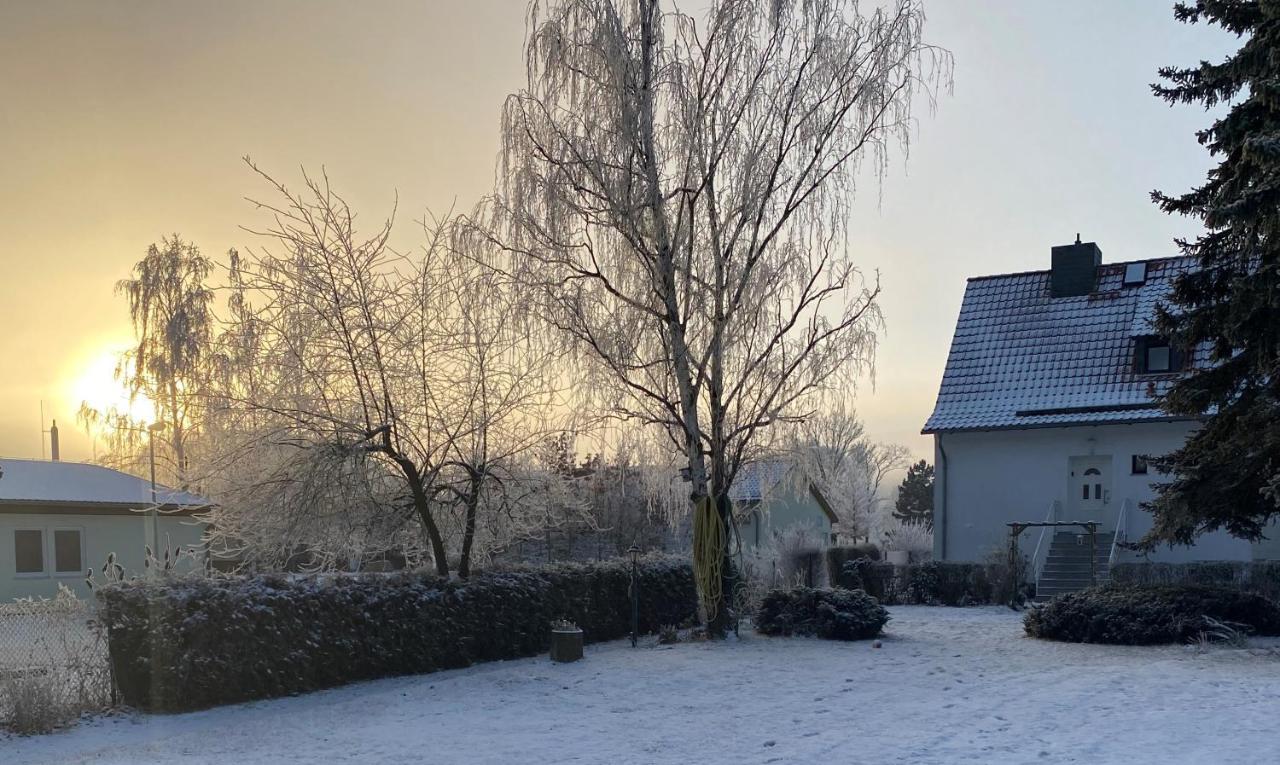 Ferienhaus Am Muehlgraben Thale Eksteriør bilde