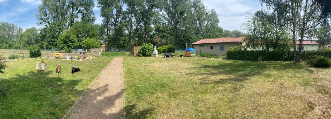 Ferienhaus Am Muehlgraben Thale Eksteriør bilde
